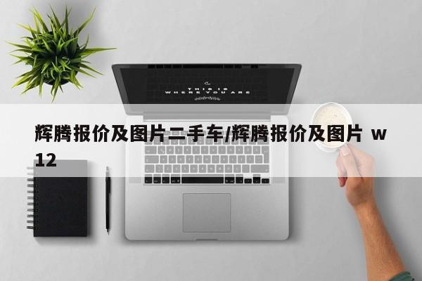 辉腾报价及图片二手车/辉腾报价及图片 w12