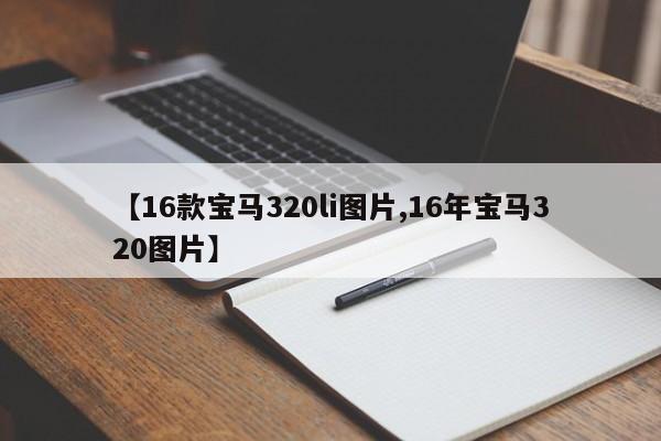 【16款宝马320li图片,16年宝马320图片】