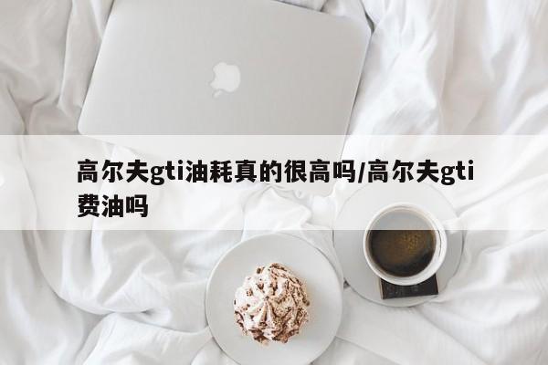 高尔夫gti油耗真的很高吗/高尔夫gti费油吗